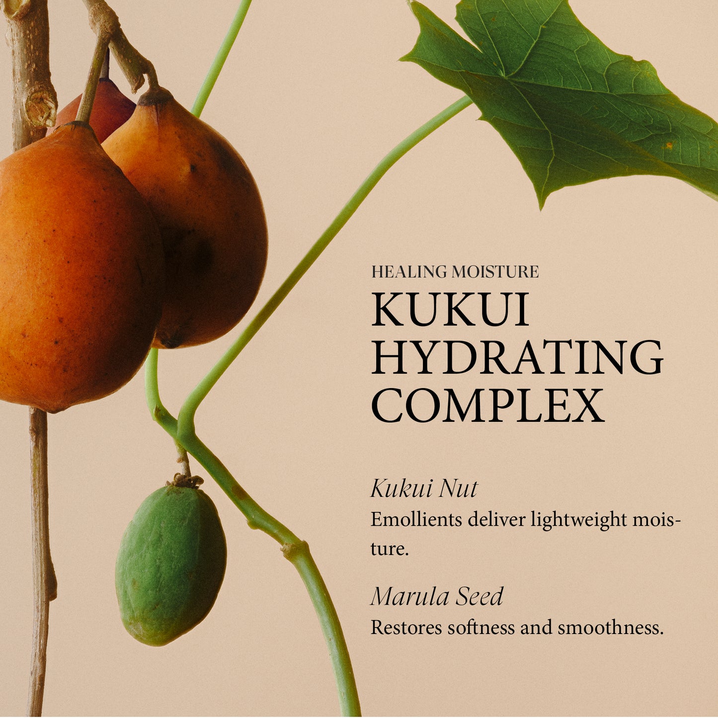 LNZ Healing Moisture Conditioner