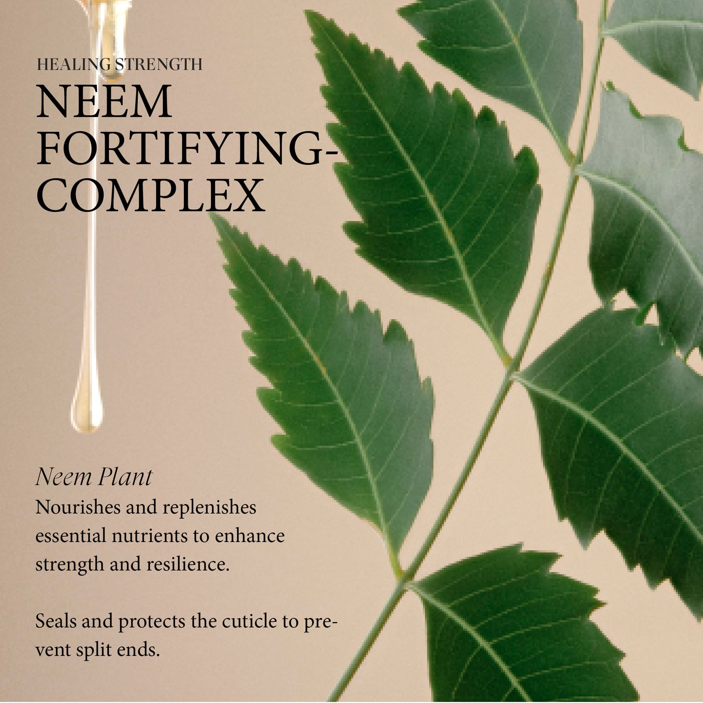 Healing Strength Detangling Primer
