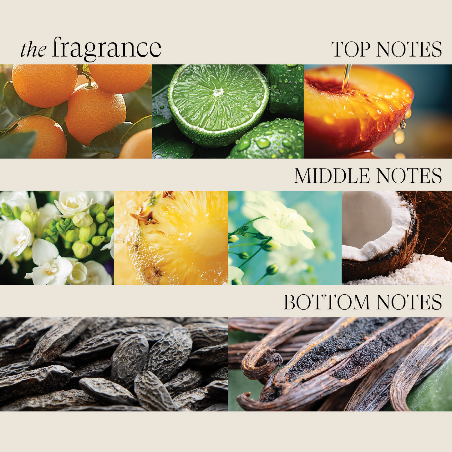 Healing Moisture Moisturizing Mist