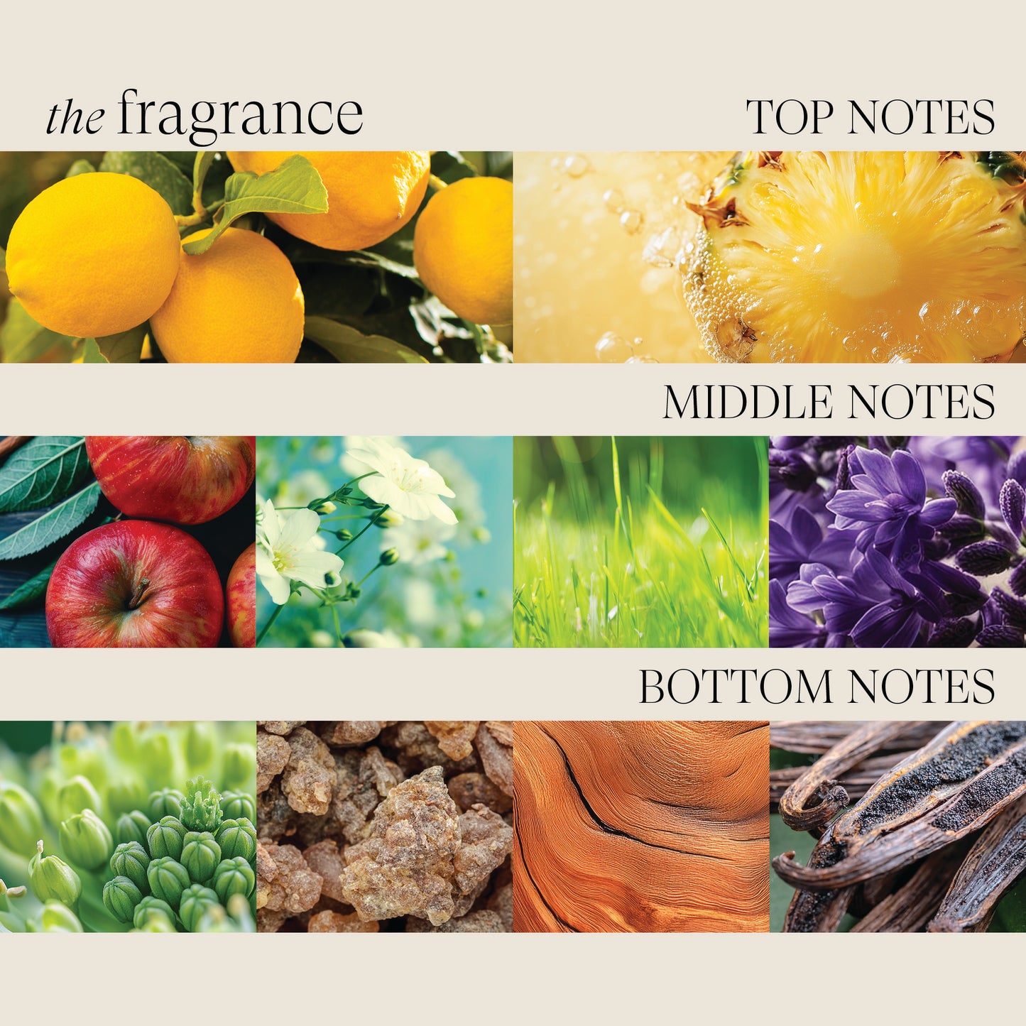 LNZ Healing ColorCare Trauma Treatment