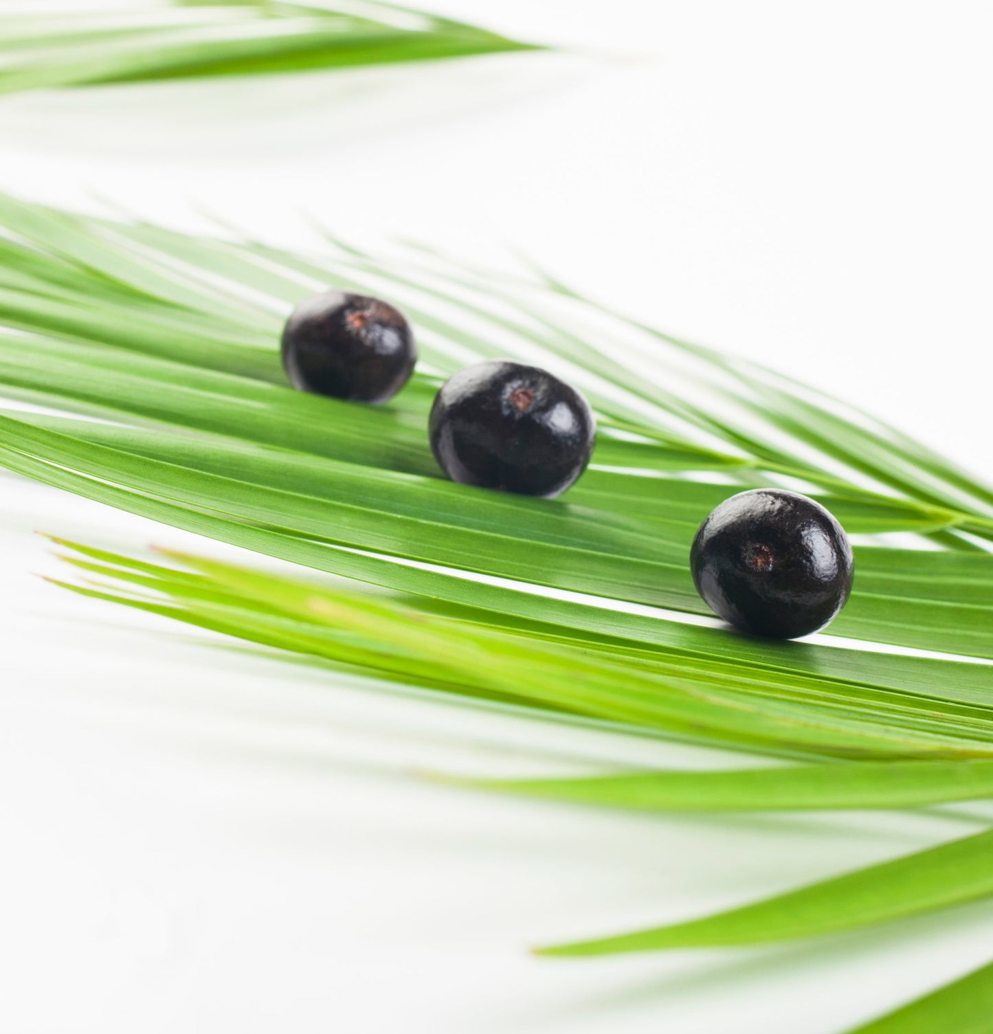 Keratin Healing Oil Conditioner