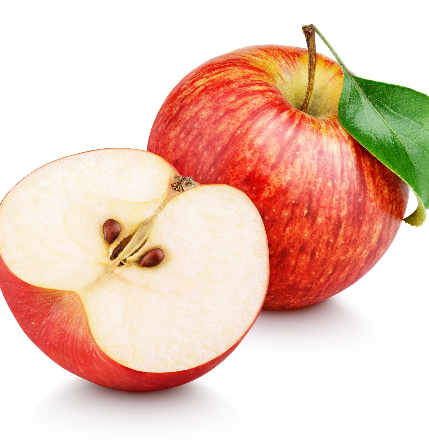 Healing Curls Curl Boost