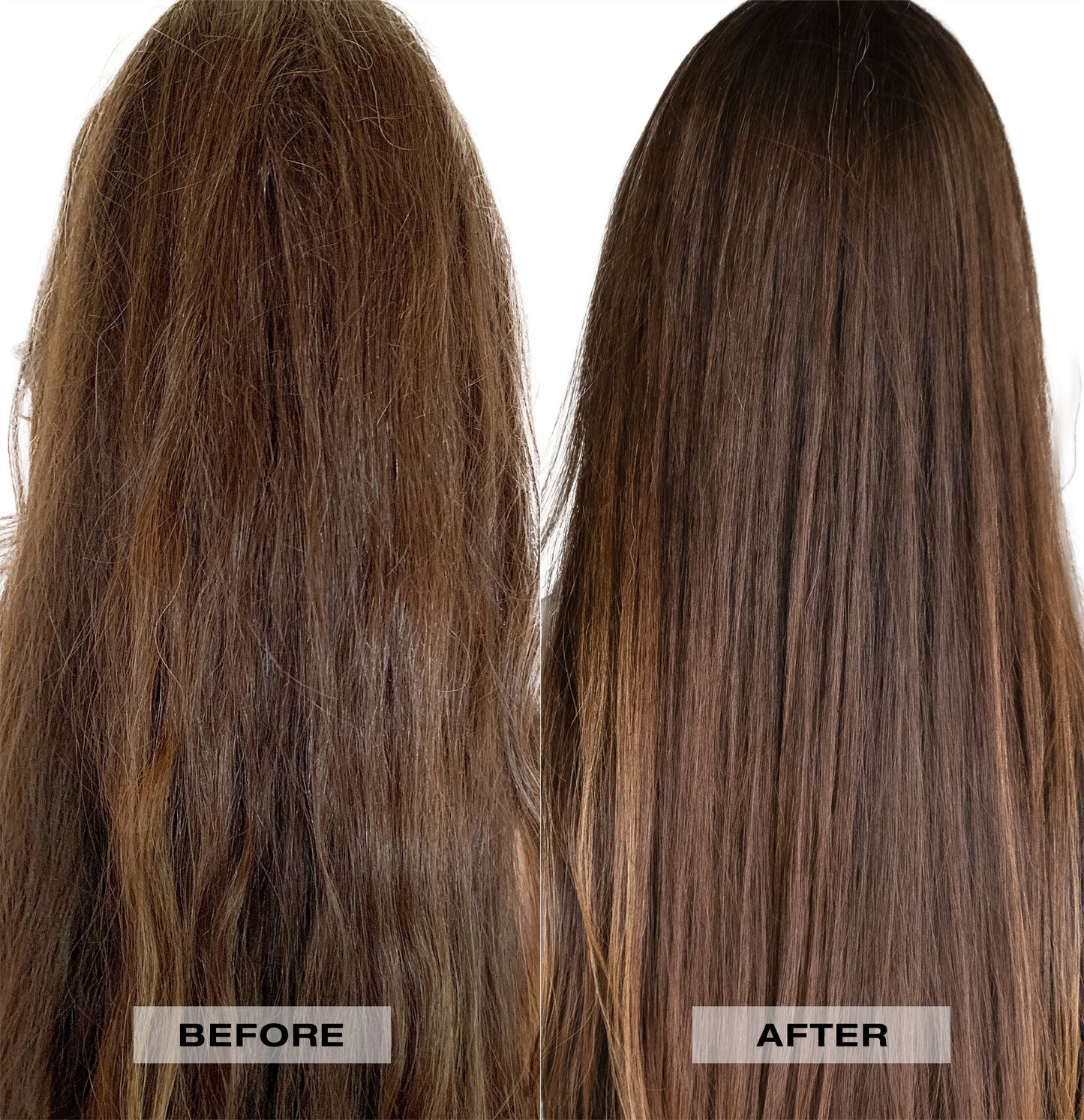 Healing Moisture Shampoo & Conditioner Duo
