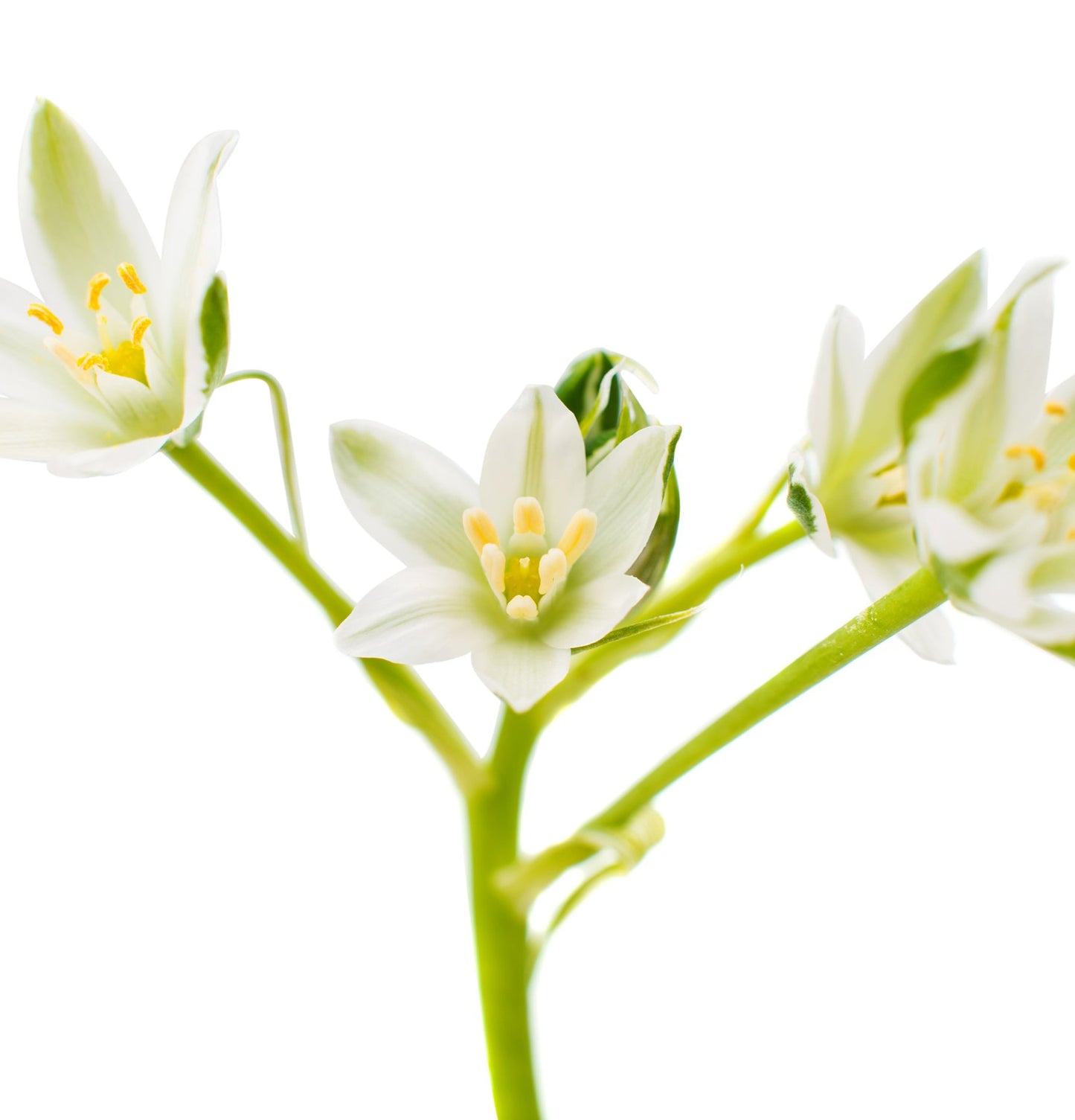 Healing ColorCare Trauma Treatment