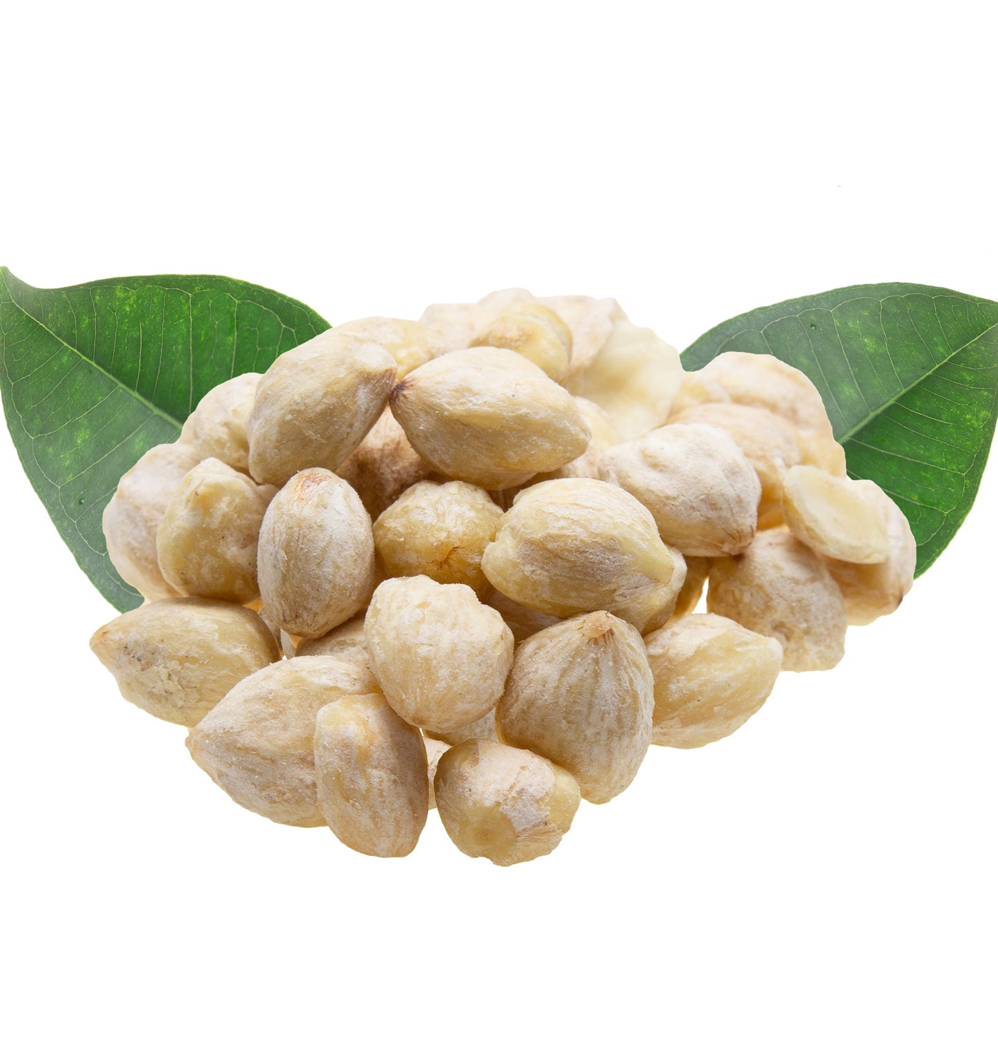 Healing Moisture Conditioner