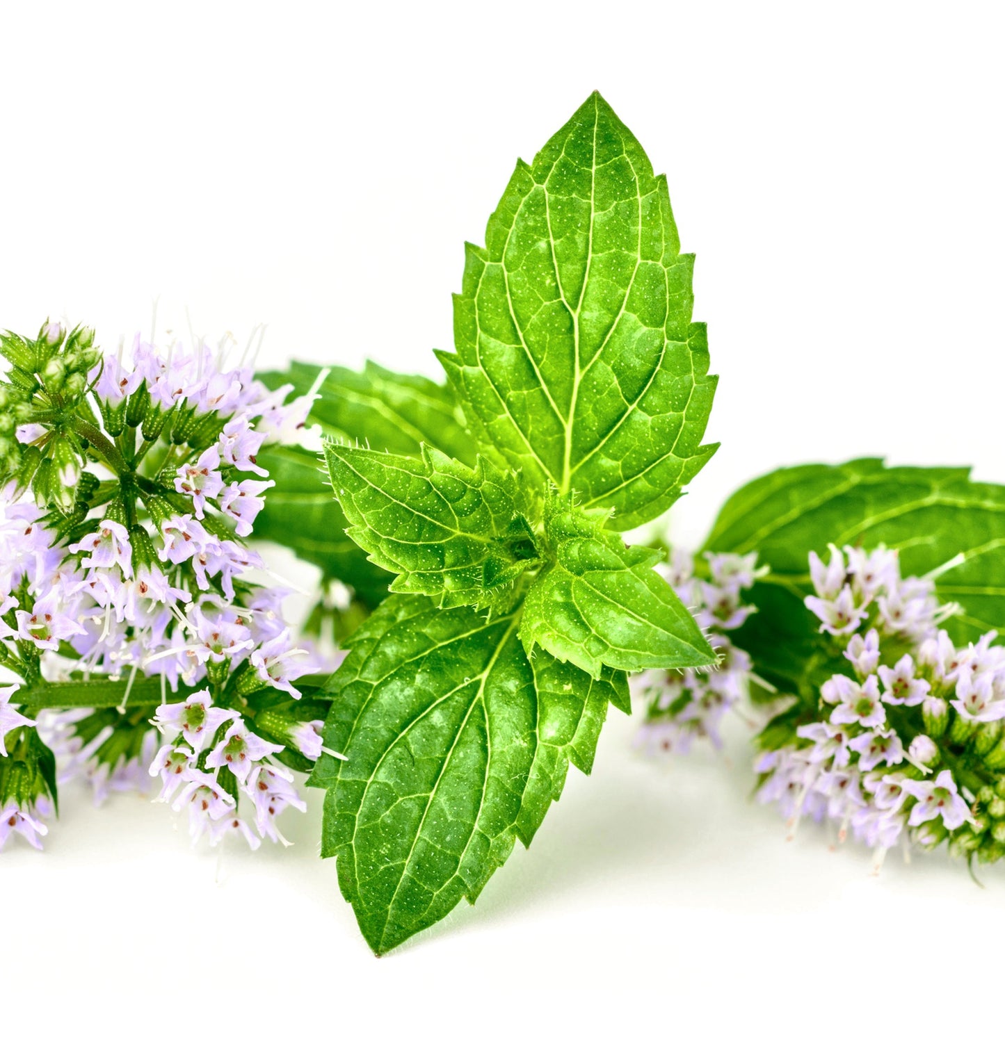 Healing Style Dramatic Effects