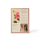 Healing ColorCare Holiday Trio Box