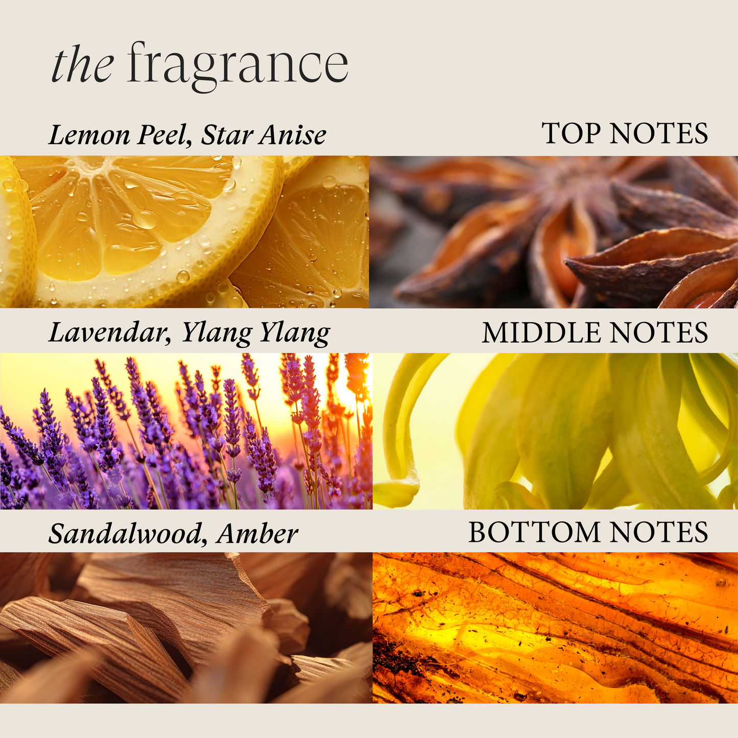 LNZ Scalp Therapy Balancing Conditioner 32oz/950ml