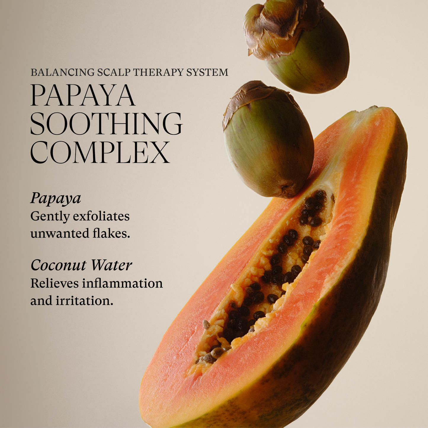 LNZ Scalp Therapy Balancing Conditioner 32oz/950ml