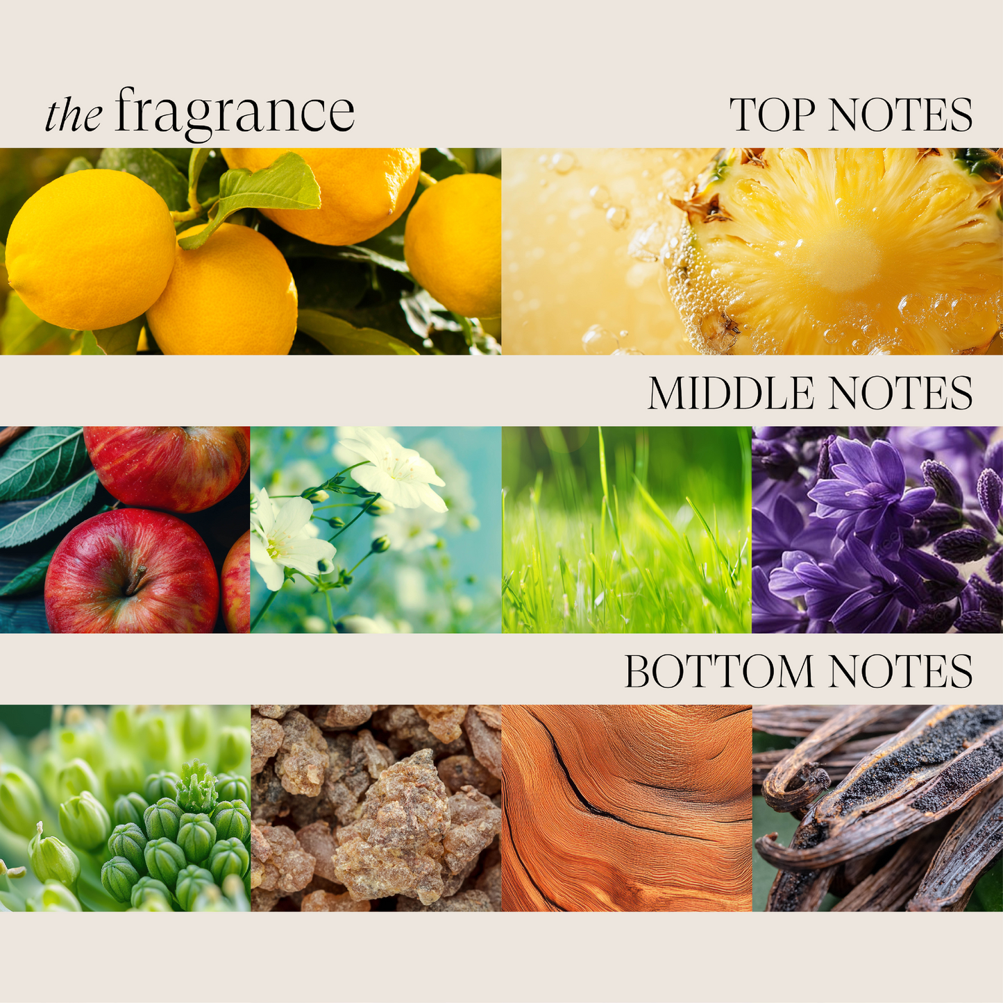 Healing ColorCare Conditioner