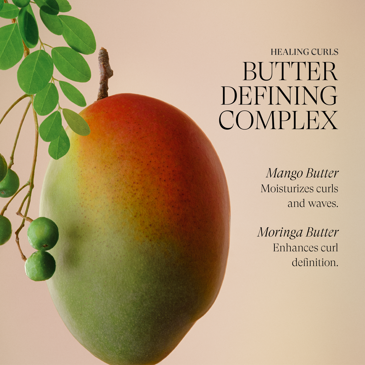 Healing Curls	Curl Therapy