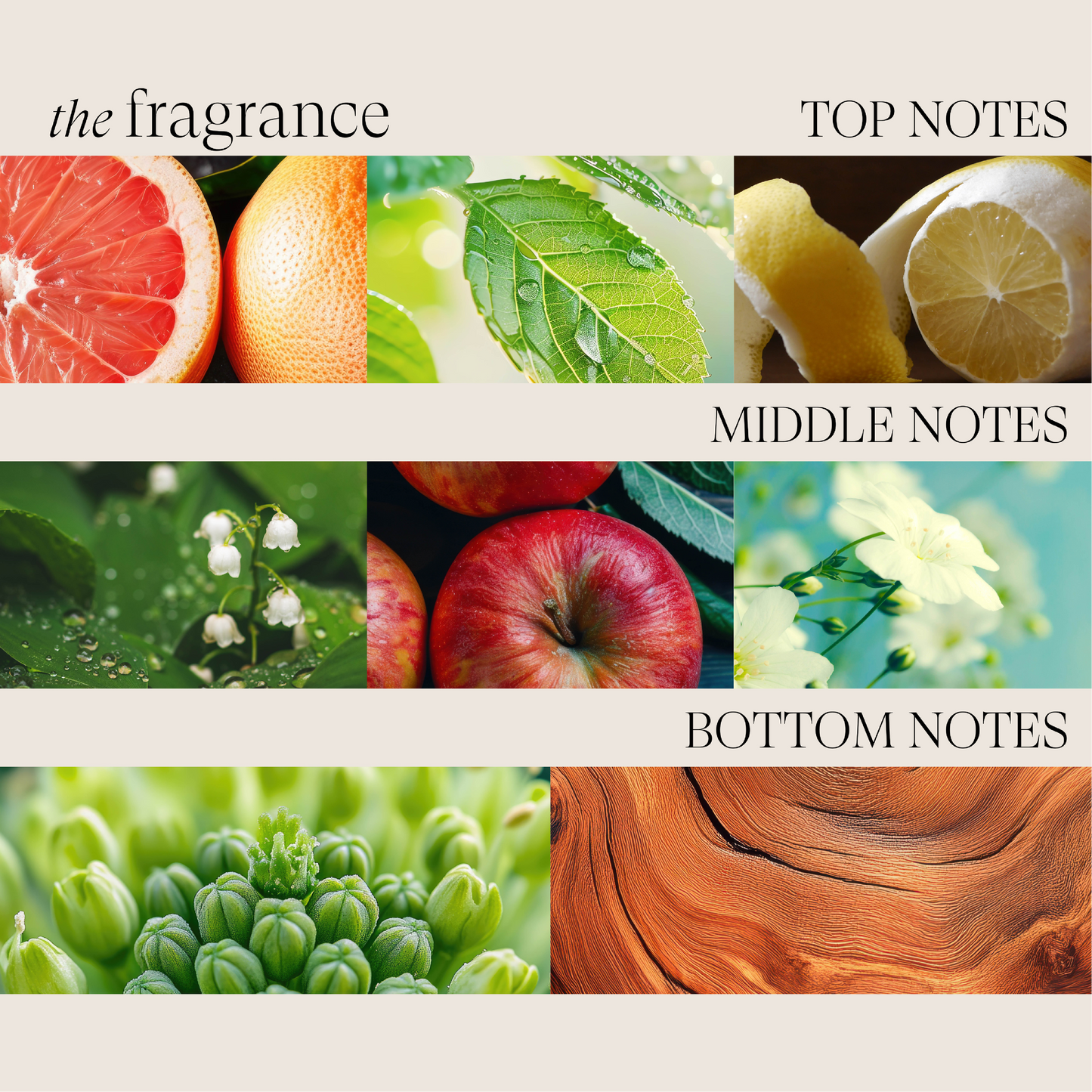 Healing Volume Final Effects