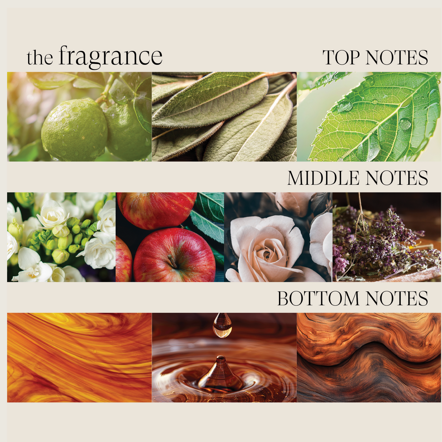 Healing Style	Molding Paste