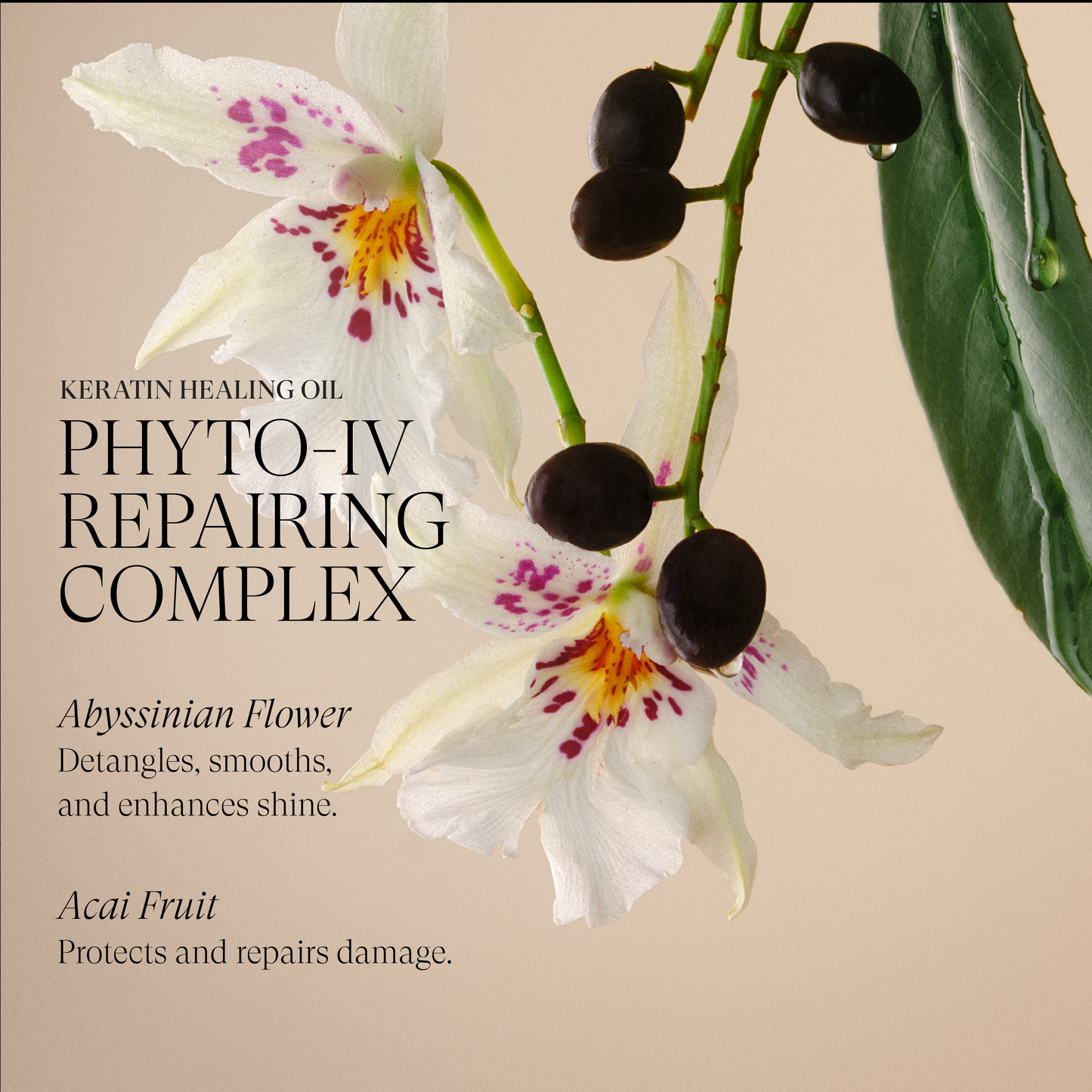 Keratin Healing Oil Shampoo