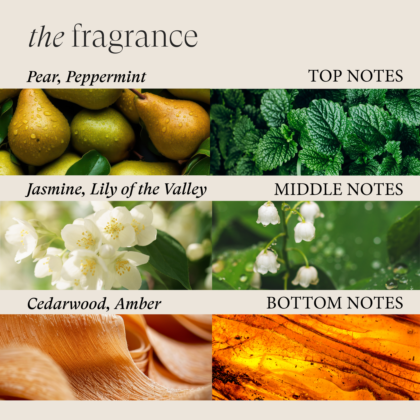 LNZ Scalp Therapy Stimulating Conditioner 8.5oz/250ml