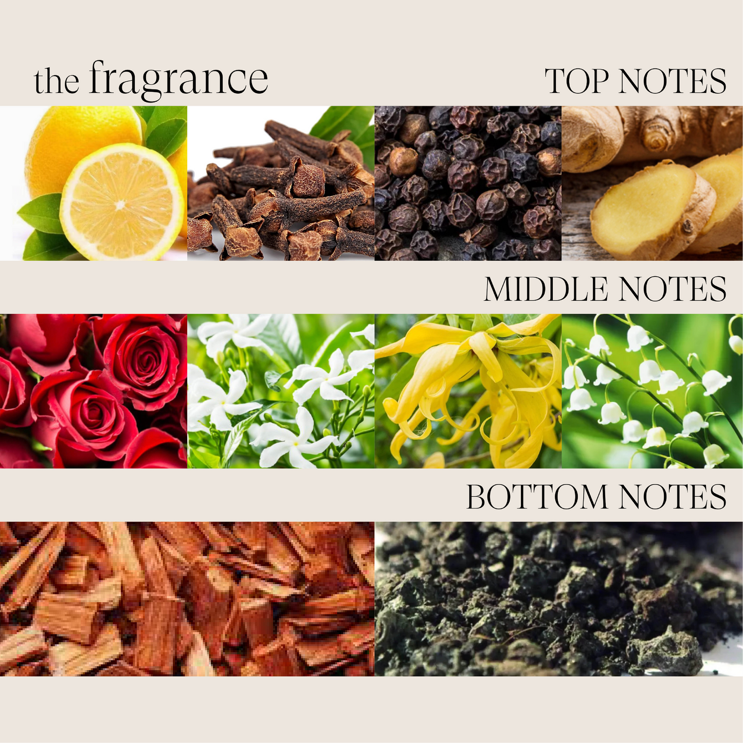 Scalp Therapy Stimulating Shampoo