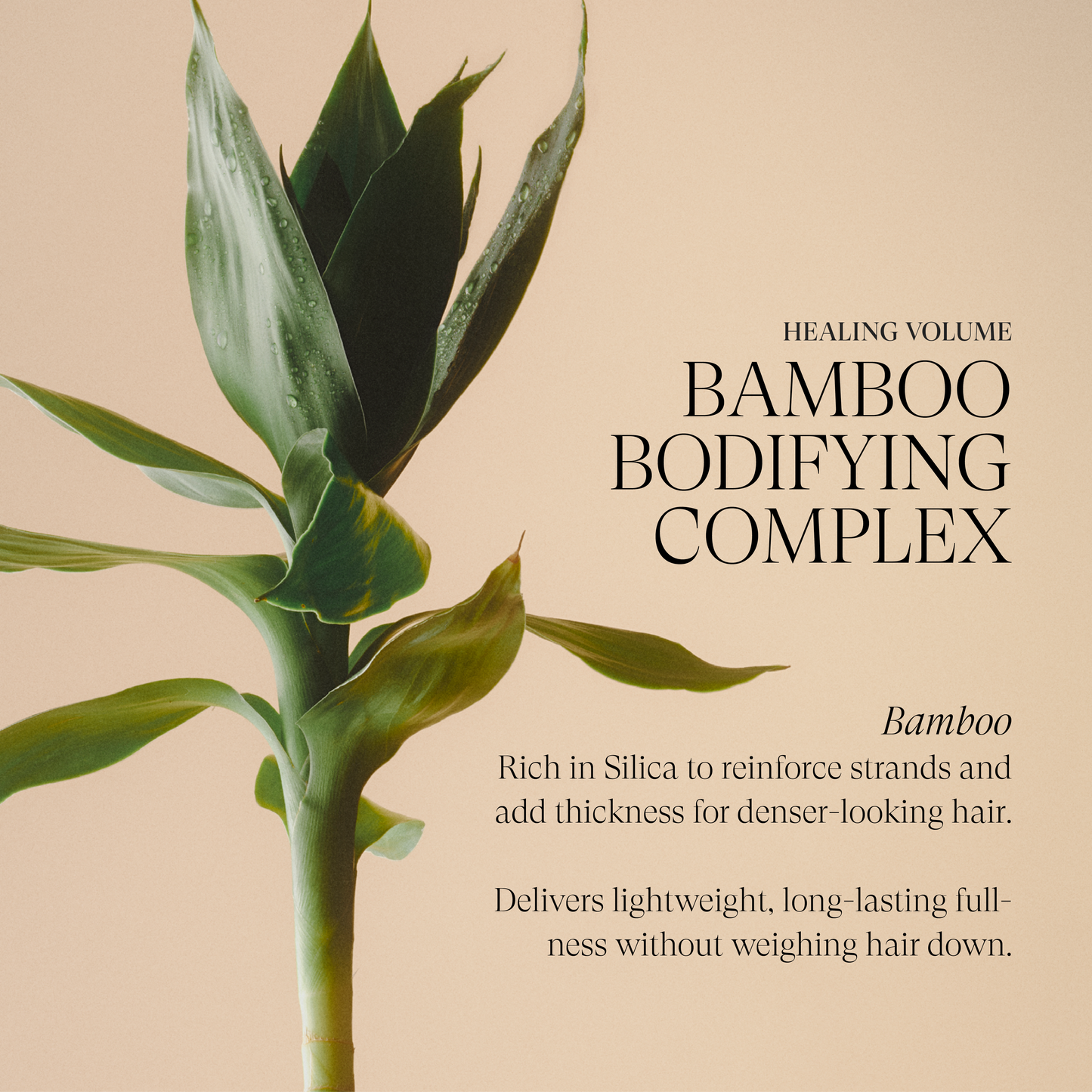 Healing Volume Thickening Treatment