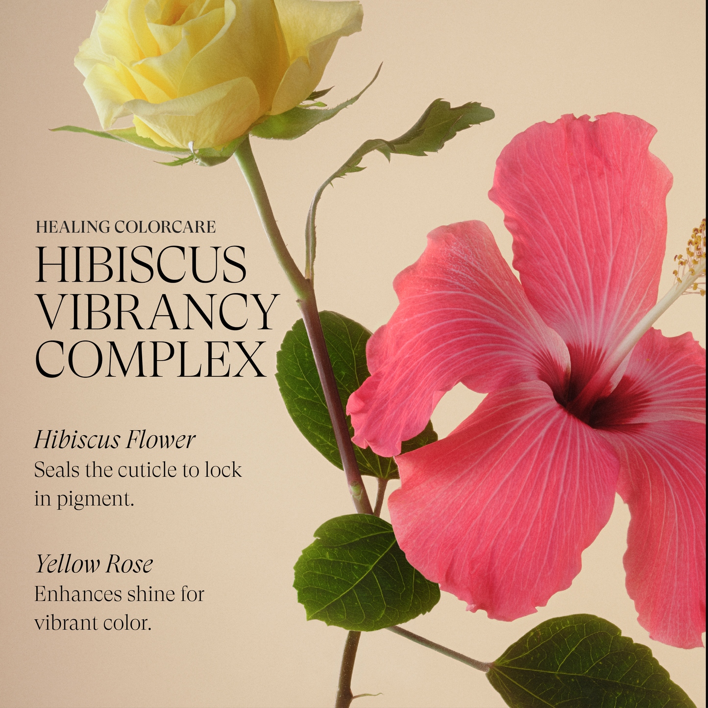 Healing ColorCare Trauma Treatment