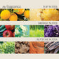 LNZ Healing ColorCare Trauma Treatment
